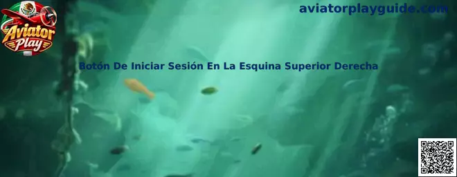 Botón De Iniciar Sesión En La Esquina Superior Derecha