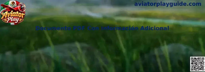 Documento PDF Con Información Adicional para Aviator Play